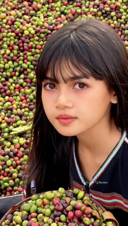 Mới đây, một đoạn video ghi lại hình ảnh cô bé với khung cảnh là những cây cà phê đặc sản của vùng đất Tây Nguyên khiến netizen phải xuýt xoa. Cô bé sở hữu gương mặt khiến người đối diện ấn tượng ngay từ lần đầu nhìn thấy với vẻ đẹp sắc sảo.