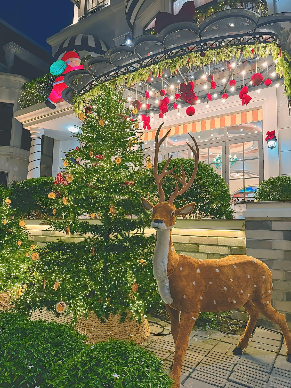 Vị nữ đại gia cũng đầu tư mô hình ông già Noel trèo ống khói để vào nhà hay con tuần lộc kéo xe cho ông già Noel.