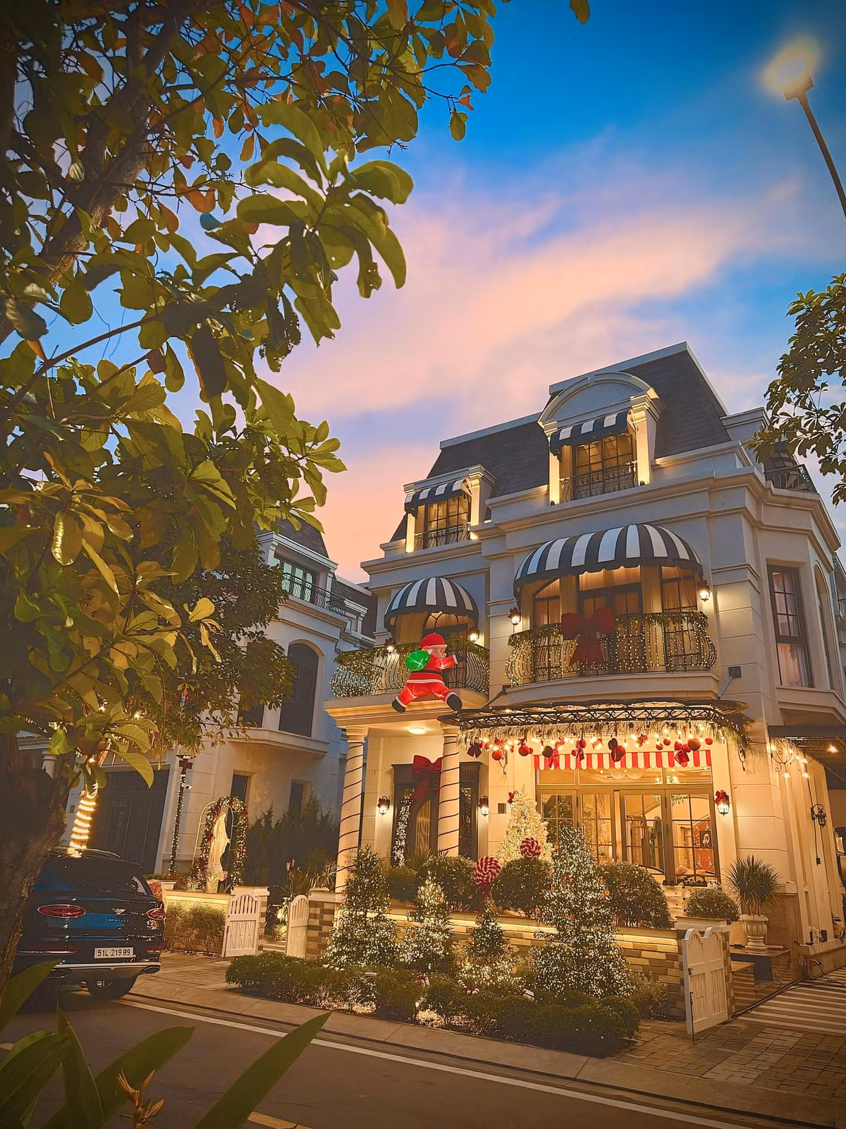 Các cây thông noel cỡ lớn, lung linh được sắp xếp hài hòa và tinh tế.