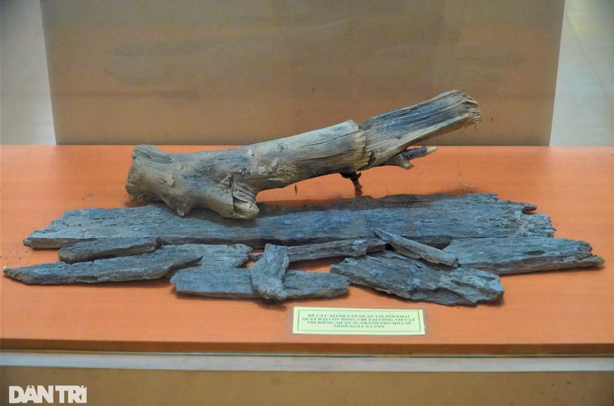 Thực dân Pháp đã chôn cất thi hài của Trần Phú ở khu nghĩa trang Đô Thành, nay là Công viên Lê Thị Riêng ở quận 10, TPHCM. Trong ảnh là rễ cây, mảnh ván quan tài nơi khai quật hài cốt cố Tổng Bí thư tại Công viên Lê Thị Riêng vào ngày 5/1/1999.