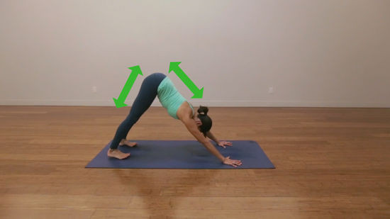 Gót chân bạn có thể không chạm sàn, điều này phụ thuộc vào khả năng của bạn. Ảnh: wikihow.