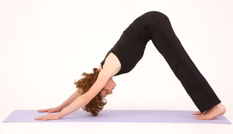 Để thực hiện tư thế yoga chó cúi mặt, trước hết bạn hãy bắt đầu bằng cách đặt hai chân và hai tay xuống sàn, với hai vai đặt thẳng hàng với cổ tay, hông thẳng hàng với gối. Ảnh: shopgiaphat.