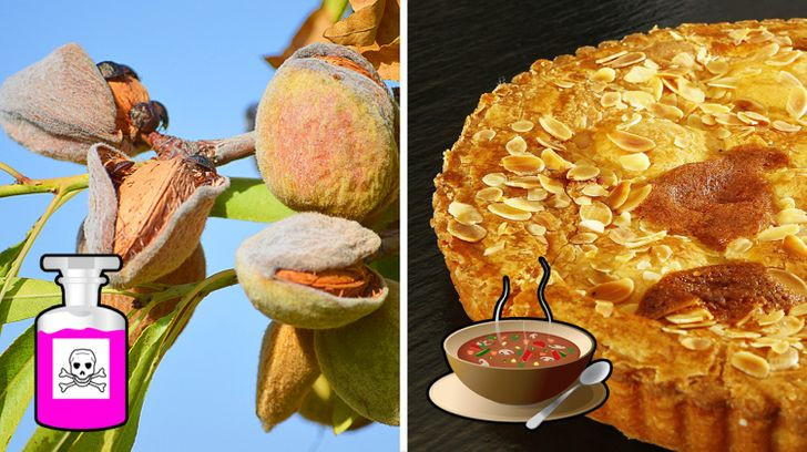 Hạnh nhân đắng thường chứa một lượng hydrogen cyanide, cyanua tương đối lớn, có thể gây ra vấn đề sức khỏe cho người lớn, và có thể gây tử vong ở trẻ em.