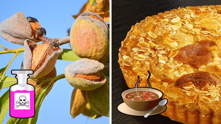 Hạnh nhân đắng thường chứa một lượng hydrogen cyanide, cyanua tương đối lớn, có thể gây ra vấn đề sức khỏe cho người lớn, và có thể gây tử vong ở trẻ em.