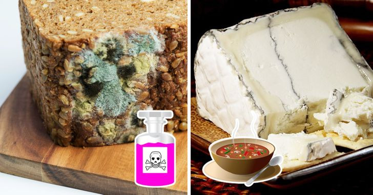 Thức ăn bị mốc cũng chứa nhiều loại độc tố mà bạn không nên sử dụng.