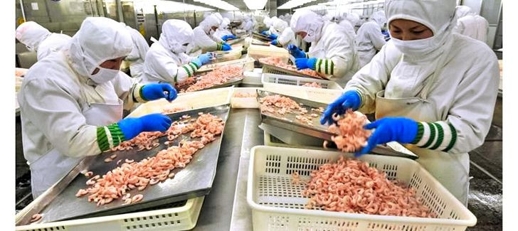 Trong quá trình nuôi tôm thường phải trộn lẫn kháng sinh vào thức ăn và nguồn nước cũng bị nhiễm nhiều chất phụ gia hóa học, thuốc trừ sâu và thuốc diệt nấm.