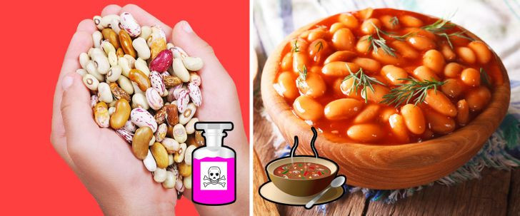 Trong đậu sống có chứa loại độc tố độc hại không vị là lectin. Ảnh: Brightside.