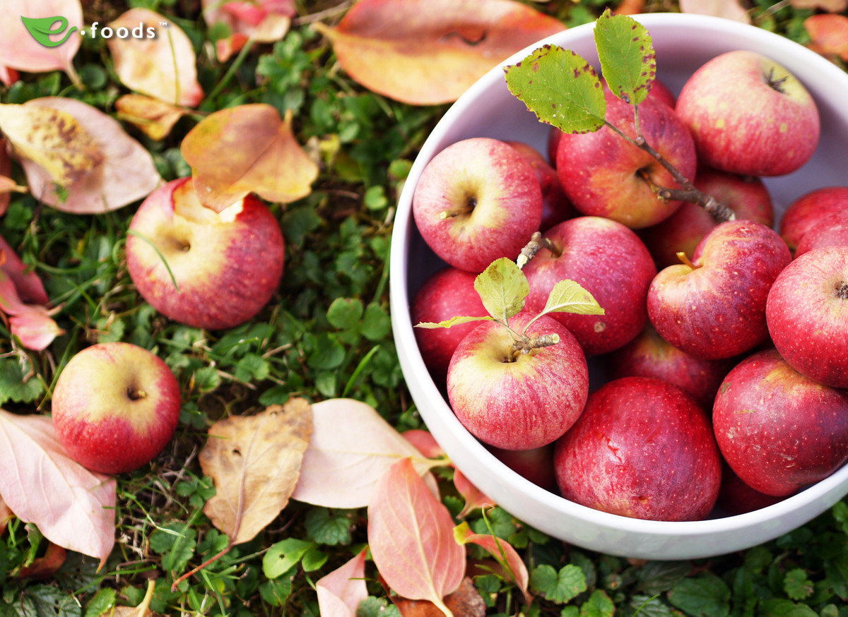 Trong mỗi quả táo đều có chứa nhiều chất chống oxy hóa và chất xơ nên giúp hệ tiêu hóa hoạt động tốt hơn. Ảnh: foods.