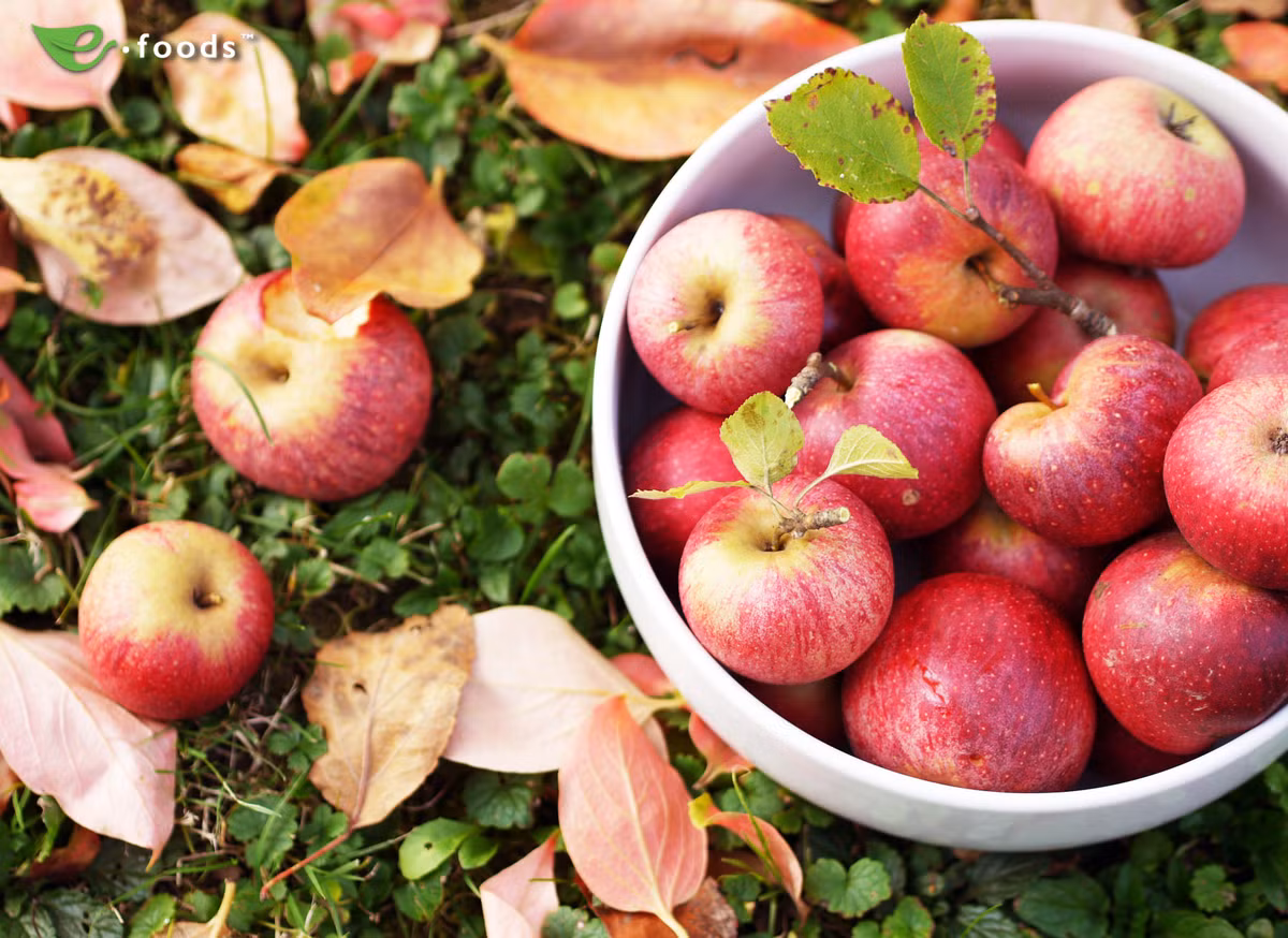 Trong mỗi quả táo đều có chứa nhiều chất chống oxy hóa và chất xơ nên giúp hệ tiêu hóa hoạt động tốt hơn. Ảnh: foods.