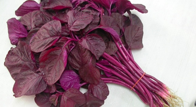 Duong chat quy tu rau den it nguoi biet