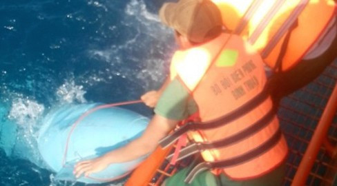 Một mảnh vỡ của máy bay Su-22 được vớt lên. Ảnh: VOV.