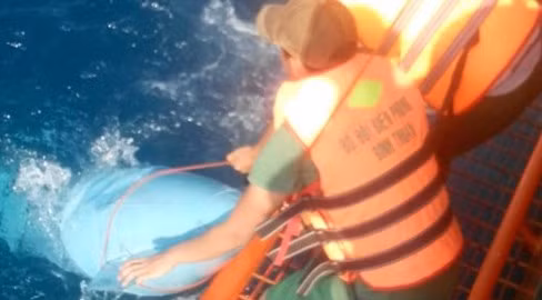 Một mảnh vỡ của máy bay Su-22 được vớt lên. Ảnh: VOV.