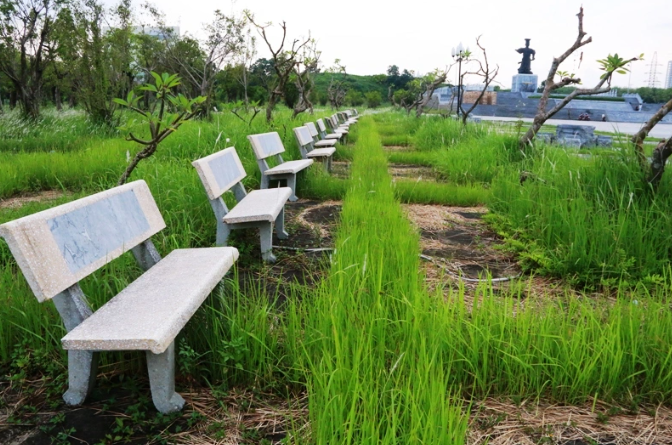 Tuy nhiên, dự án quảng trường và tượng đài Đinh Tiên Hoàng Đế vẫn chưa thể hoàn thành để đưa vào sử dụng. Nguyên nhân được chủ đầu tư cho biết là do khó khăn về nguồn vốn cũng như công tác giải phóng mặt bằng (GPMB). Cũng vì thế, mà dự án này “treo” 8 năm qua, bị bỏ hoang giữa thành phố, cây cỏ mọc um tùm, mặc nắng mưa hủy hoại. Từ năm 2009 đến nay, UBND tỉnh Ninh Bình 2 lần thay chủ đầu tư nhưng dự án vẫn không thể hoàn thành đúng tiến độ. Khi mới có quyết định đầu tư, Sở Văn hóa, Thể thao và Du lịch Ninh Bình làm chủ đầu tư, đến tháng 11/2013, UBND thành phố Ninh Bình được giao làm chủ đầu tư, tiếp tục thực hiện dự án. 