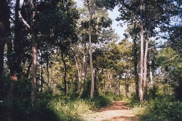 Kiem lam bi ban tu vong: Ron nguoi nhung vu tan cong can bo-Hinh-2