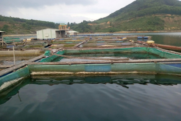 Nhiều mũi trinh sát hình sự, điều tra viên tiếp cận các địa chỉ có mối quan hệ thân quen với Trần Quốc Tuấn ở tỉnh Phú Yên, nhưng không thấy bóng dáng hắn. Tiếp tục xác minh, thu thập từ nhiều nguồn tin, trinh sát được biết Tuấn có một người anh trai là Trần Quốc Toản đang nuôi tôm cá lồng bè ở Vũng Ngáng, phường Vĩnh Nguyên, TP Nha Trang. Lập tức một tổ công tác đến Vũng Ngáng, nhưng được biết, trong thời gian làm thuê cho người anh trai ở đảo Bích Đầm, Tuấn đã đánh nhau với một ngư dân trong vùng, nên hắn trốn đi. Tổ công tác thứ hai vào phường Tân Thới Nhất, quận 12, TP HCM. (Ảnh minh họa, nguồn internet) 