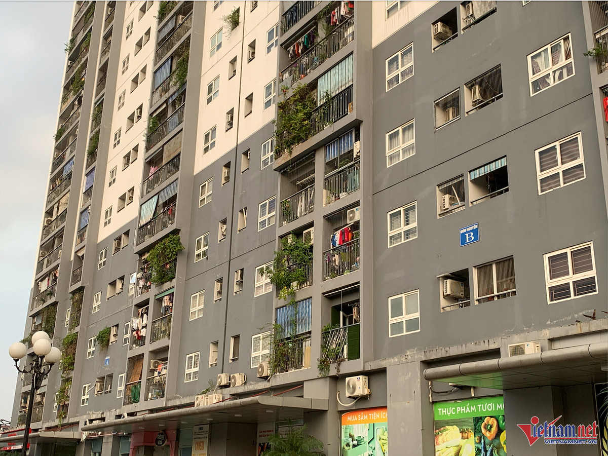 Phải có dăm ba tỷ trong tay mới mua được nhà ở xã hội Phai co dam ba ty trong tay moi mua duoc nha o xa hoi