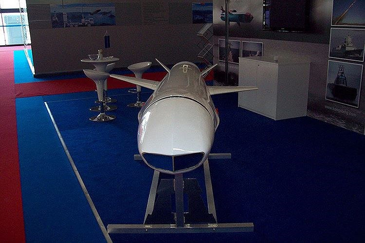 NSM có trọng lượng 400 kg, mang theo đầu đạn nặng 125kg được nhồi thuốc nổ cực mạnh đủ để xuyên thủng lớp giáp dày trên các chiến hạm.