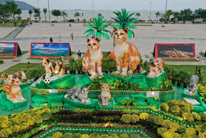 Có lẽ mèo ở Quy Nhơn, Bình Định là một trong những chú mèo có diện mạo uy nghiêm nhất với bộ lông vằn dũng mãnh. Năm nay, biểu tượng chính của linh vật mèo Bình Định là gia đình mèo gồm mèo bố, mèo mẹ và 7 mèo con đang vui chơi, sum vầy bên nhau, thể hiện tình cảm của gia đình. 