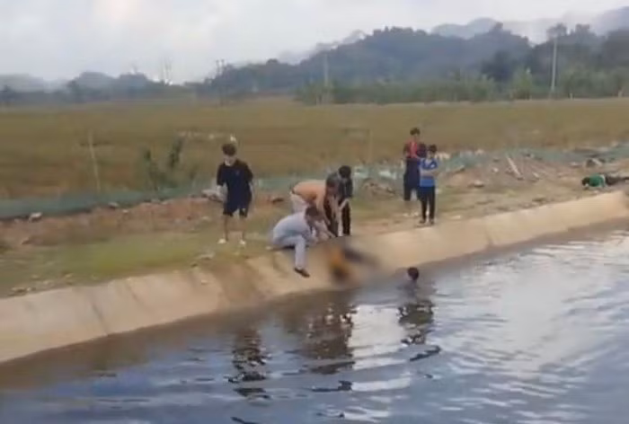  Lao xuống mương cứu bạn, học sinh lớp 5 ở Thanh Hóa đuối nước: Vụ việc xảy ra vào khoảng 11h ngày 16/11, trong lúc hai học sinh (một nam, một nữ) của Trường Tiểu học Hà Vinh (xã Hà Vinh, huyện Hà Trung, Thanh Hóa) cùng nhau đi học về, khi đi qua đoạn mương nước tưới tiêu, không may bạn nữ trượt chân ngã xuống mương.
