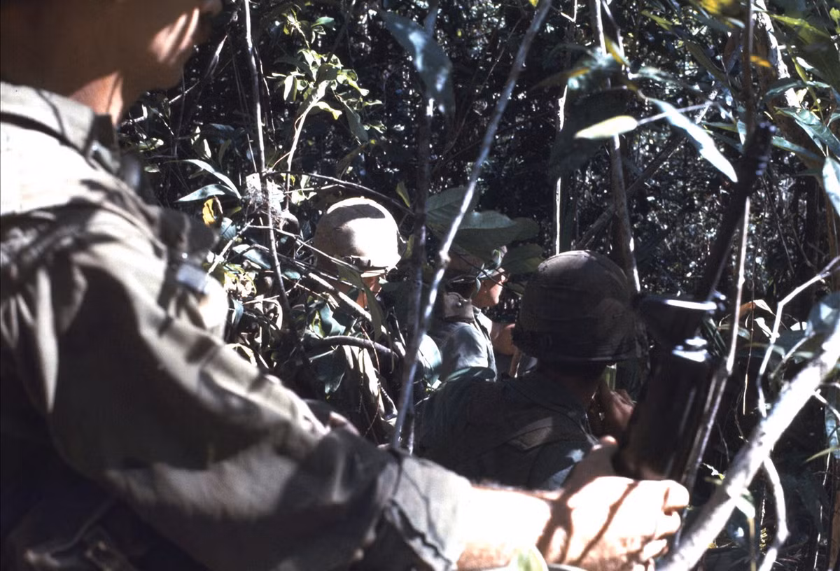 Băng qua khu rừng rậm rạp.