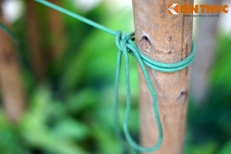 Việc thắt nút cho dây võng, dây bạt cũng đòi hỏi kỹ năng riêng để nút thắt vừa chắc chắn, vừa có thể tháo ra trong thời gian ngắn nhất.