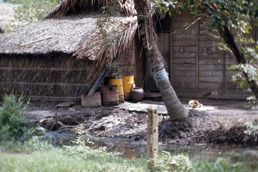 Ngôi nhà lá ở ngoại ô.