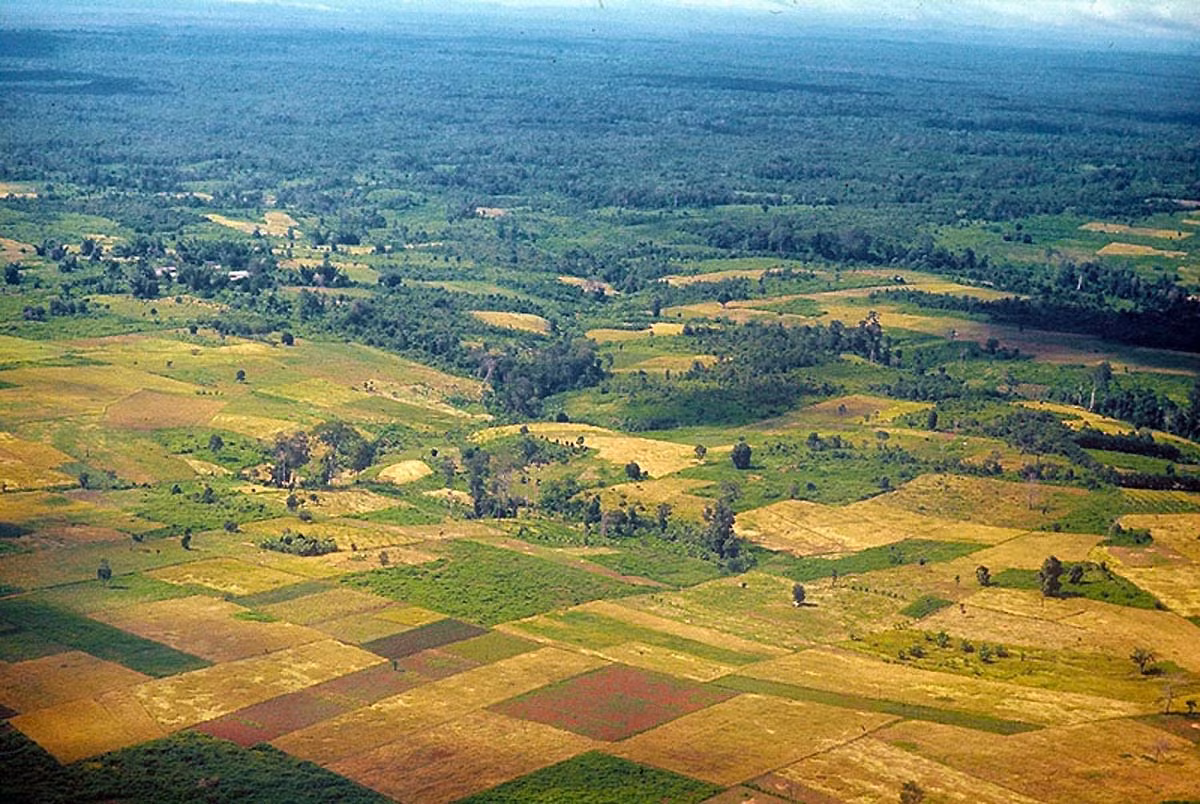Địa hình bằng phẳng quanh Buôn Ma Thuột. Ảnh: Reppel Collection
