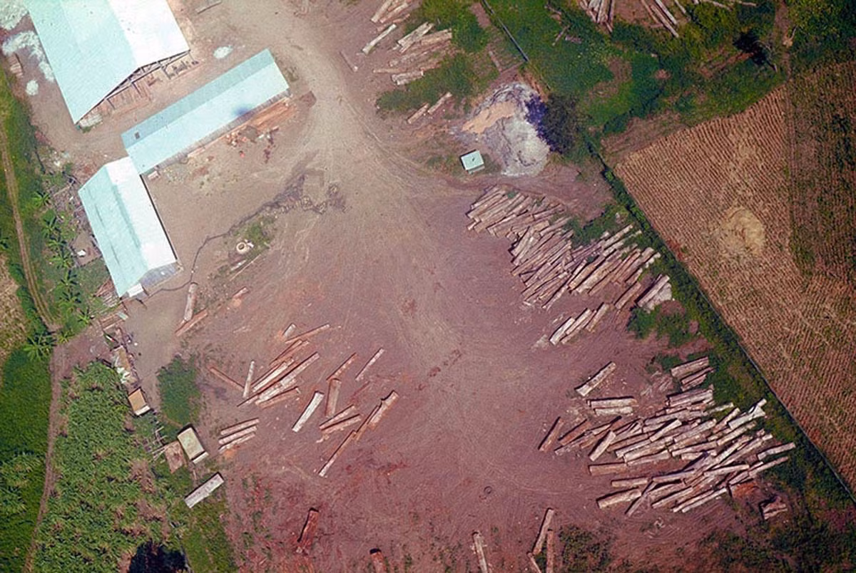 Một xưởng gỗ nhìn từ máy bay. Ảnh: Reppel Collection