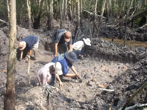 Ngày 12/3, tại Khu di tích quốc gia đặc biệt Gò Tháp ở huyện Tháp Mười, tỉnh Đồng Tháp, Trường ĐH KHXH&amp;VN TPHCM và Ban Quản lý di tích Gò Tháp công bố kết quả thăm dò ở 4 khu vực. Kết quả, đã phát hiện thêm kiến trúc Ao thần, đền thần Vishnu và hàng trăm hiện vật khác. Ảnh: Báo Đồng Tháp.