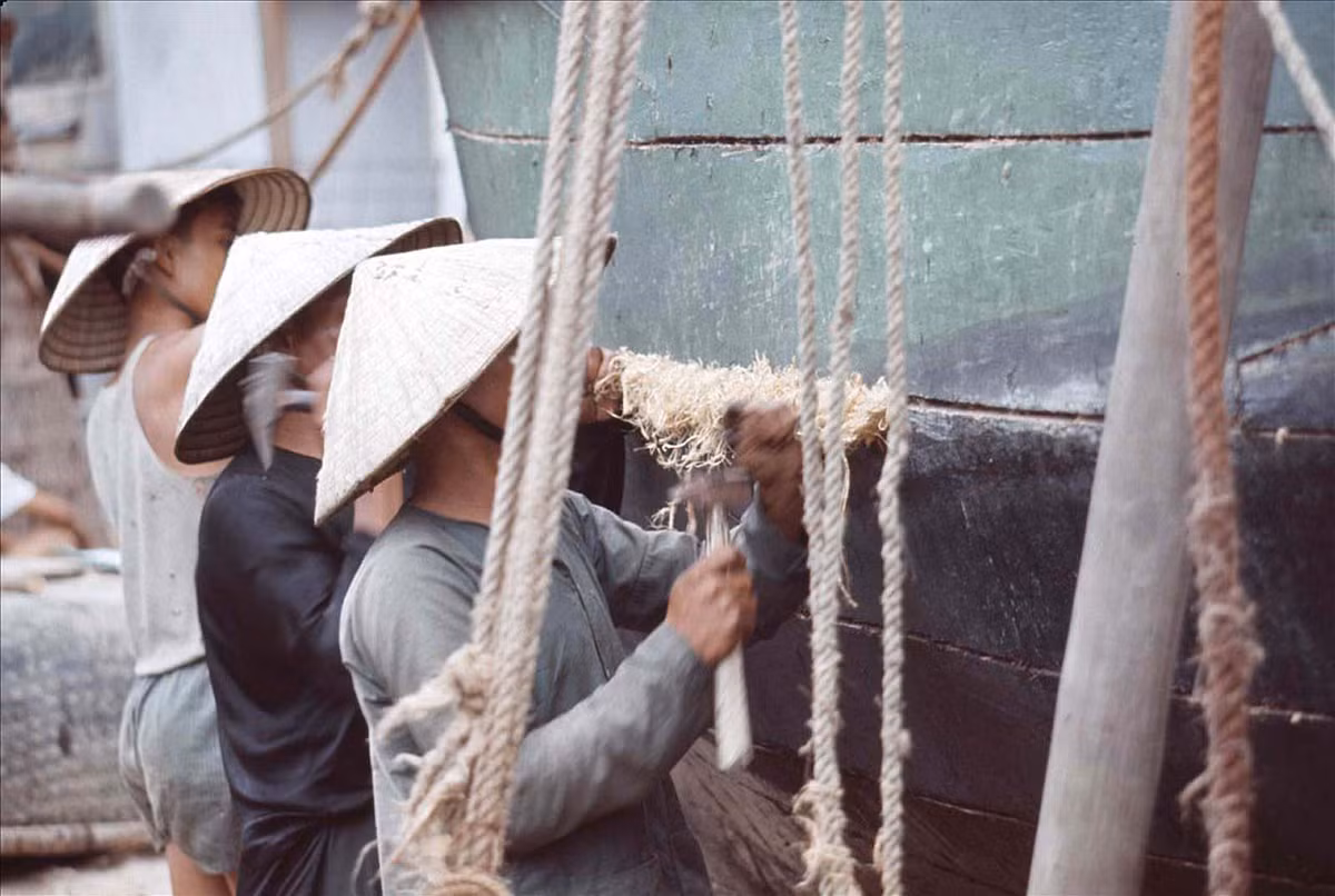 Trám những lỗ hổng trên thân thuyền bằng rơm và nhựa đường.