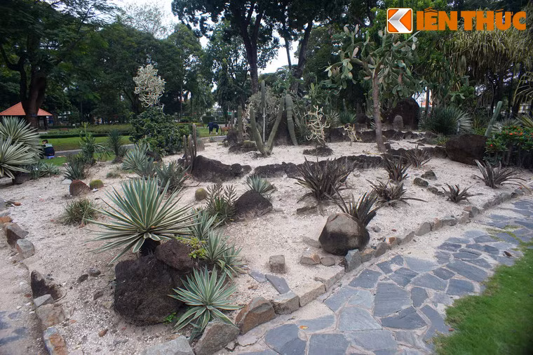 Bên cạnh các cây cổ thụ lâu năm, công viên còn có khu vực trồng các loài cây lạ du nhập từ nhiều vùng miền của Việt Nam và cả các quốc gia khác trên thế giới.