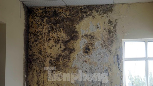 Bên trong tòa nhà A Bệnh viện Đa khoa tỉnh Hải Dương, nhiều khu vực tường nhà xuống cấp, ẩm mốc, bong tróc.