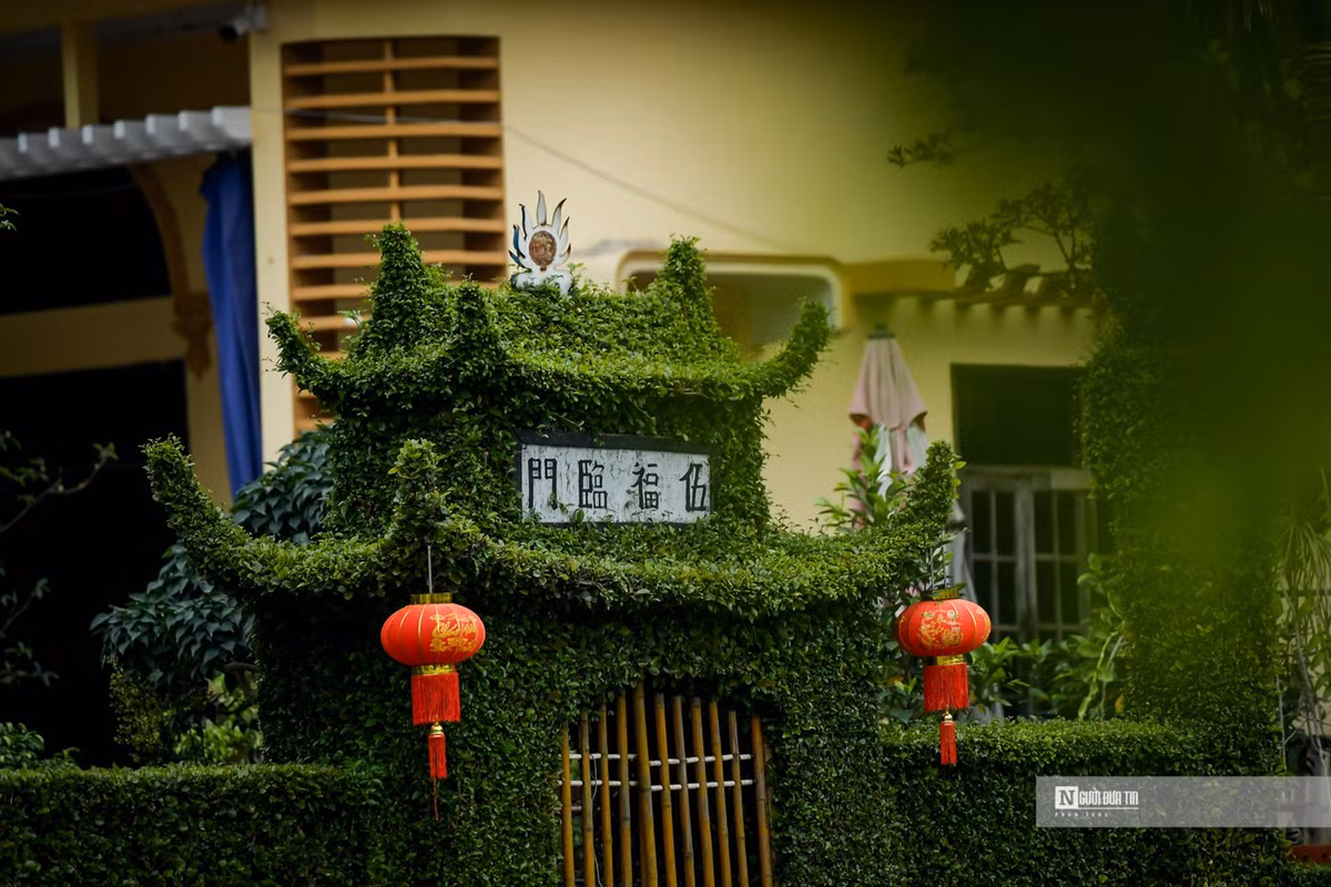 Ngam cong rao “doc nhat vo nhi” bang cay o ro 30 nam tuoi-Hinh-7