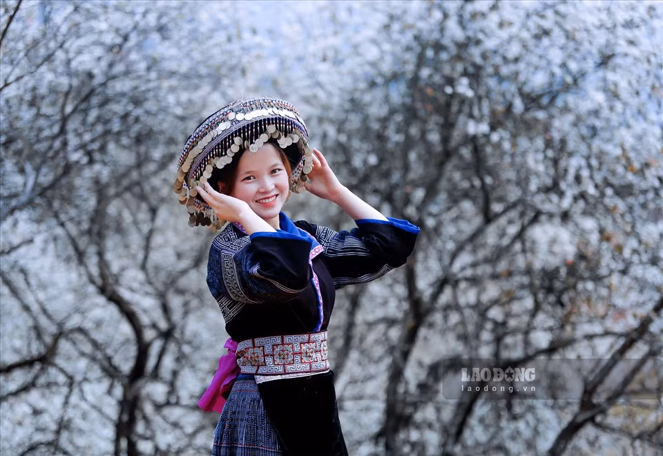 Từng bông nở trắng muốt khắp các cánh rừng, len lỏi đến từng ngôi nhà tạo thành một bức tranh thơ mộng, thu hút ánh nhìn từ xa hay thậm chí lại gần cũng khó có thể rời mắt khỏi chúng.. 