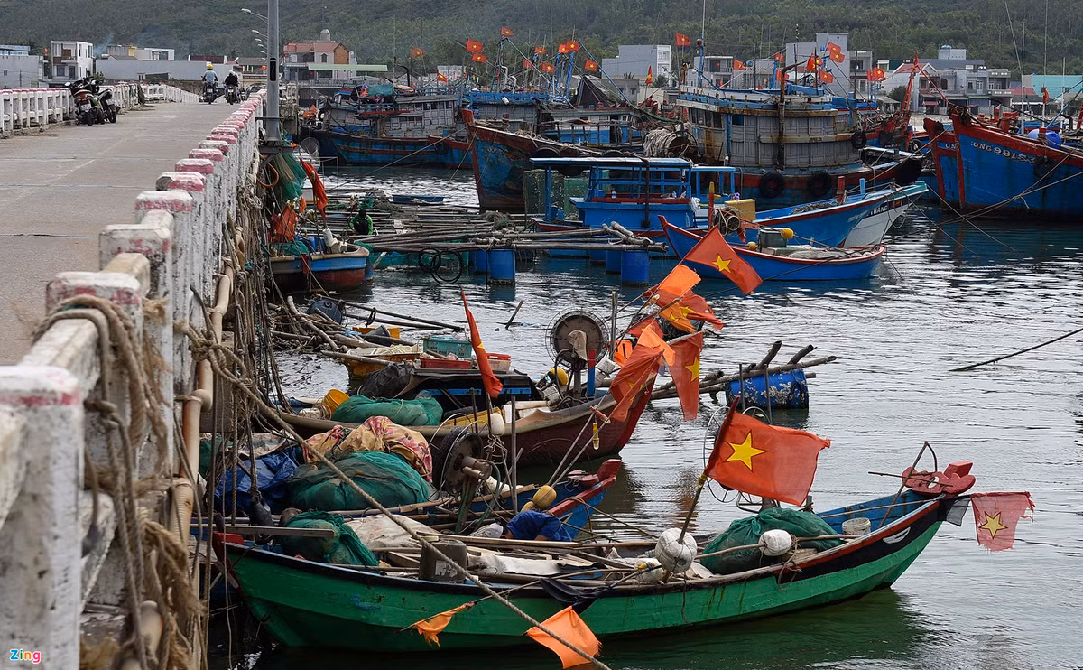 "Hàng ngày, bà con ngư dân làng chài Sa Huỳnh thấp thỏm khi đưa tàu thuyền qua lại dưới gầm cầu. Các nhịp rạn nứt trơ cả khung sắt, trở thành bẫy nguy hiểm cho người dân làng chài", ông Nguyễn Hạnh nói.