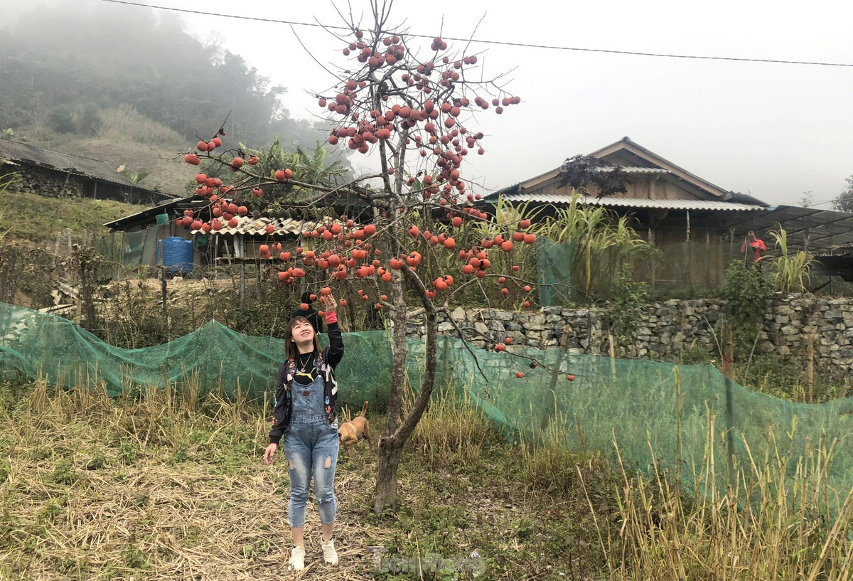 Trong kế hoạch, Mường Lống sẽ được kết nối với xã Mỹ Lý để hình thành tour du lịch Mường Lống - Mỹ Lý. Với tuyến này, du khách sau khi ngắm cảnh, có thể tiếp hành trình đến Mỹ Lý để trải nghiệm văn hóa đồng bào người Thái như: ẩm thực, các làn điệu dân ca, dân vũ, trải nghiệm dệt thổ cẩm, chèo thuyền đánh cá…