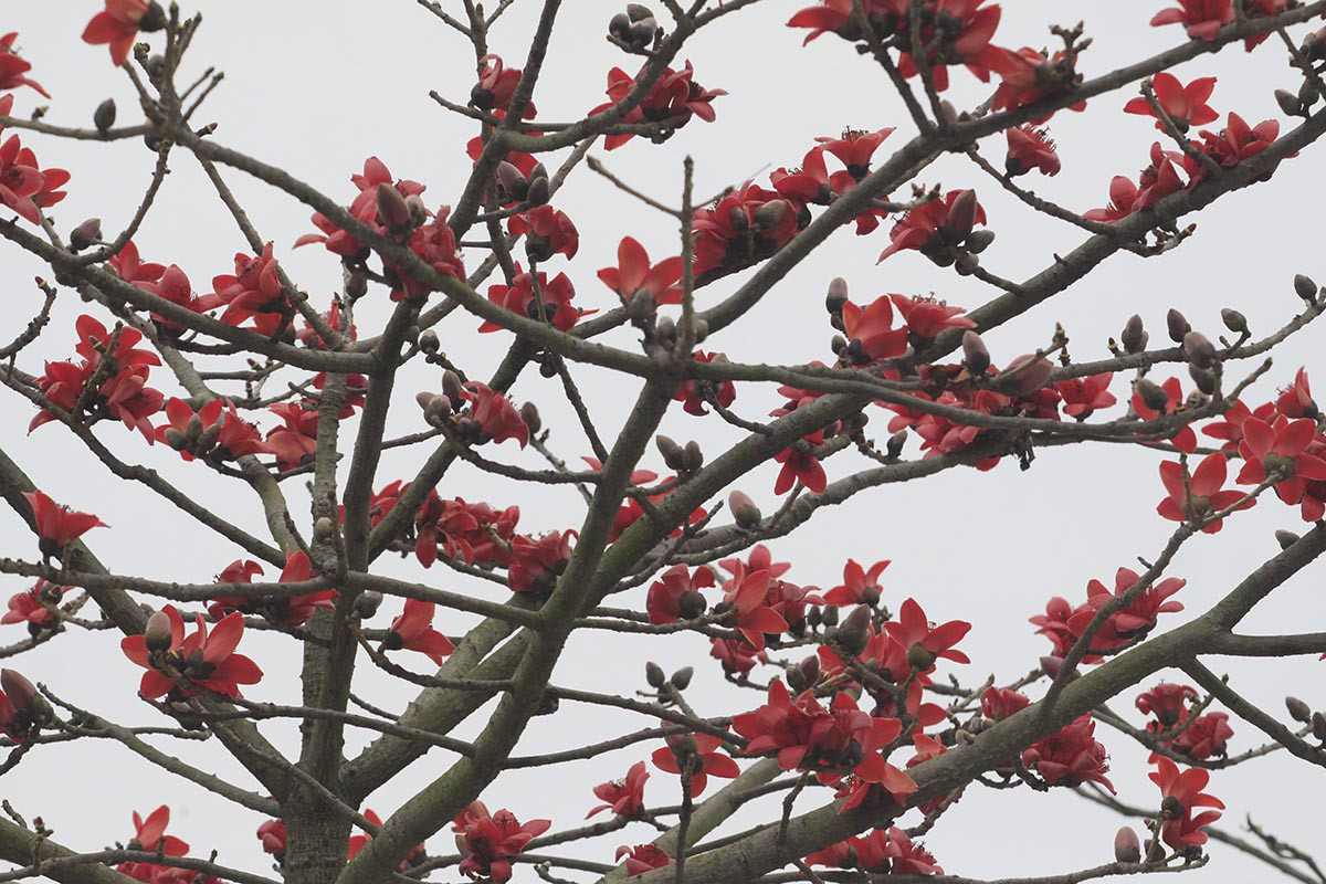 Mỗi khi đến đây, nhiều người lại cảm thấy rưng rưng nhớ nhà.