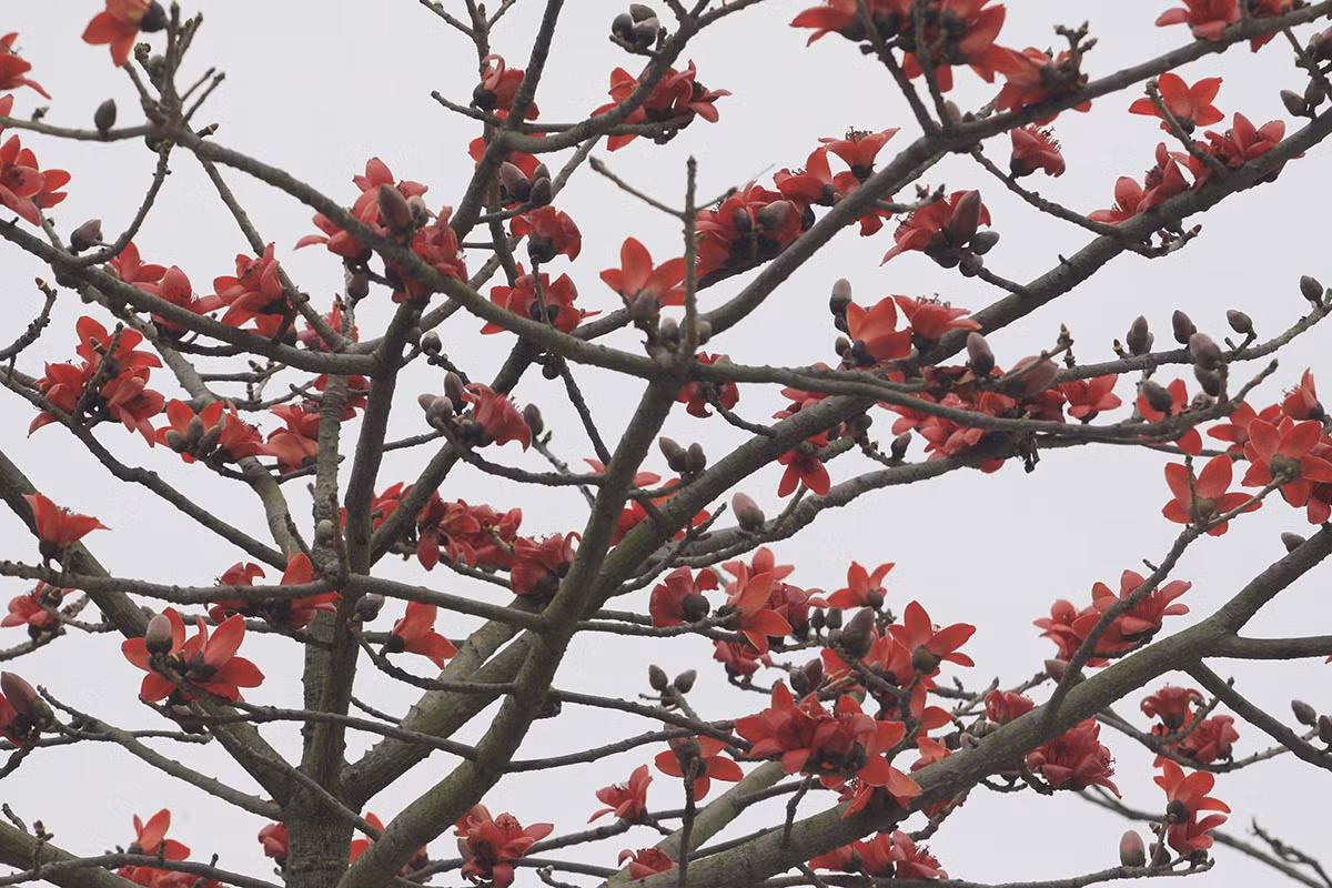 Mỗi khi đến đây, nhiều người lại cảm thấy rưng rưng nhớ nhà.