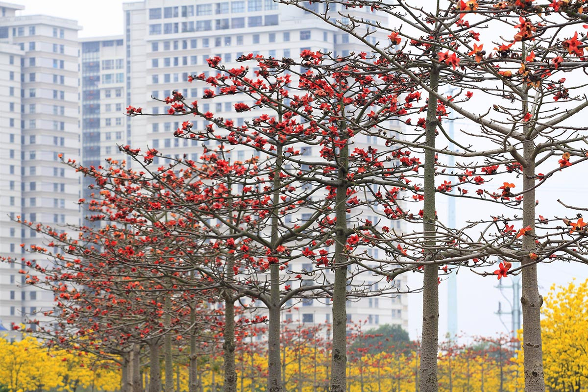 Mới đây, giới trẻ Hà Thành còn phát hiện ra một địa điểm "check-in" mới.