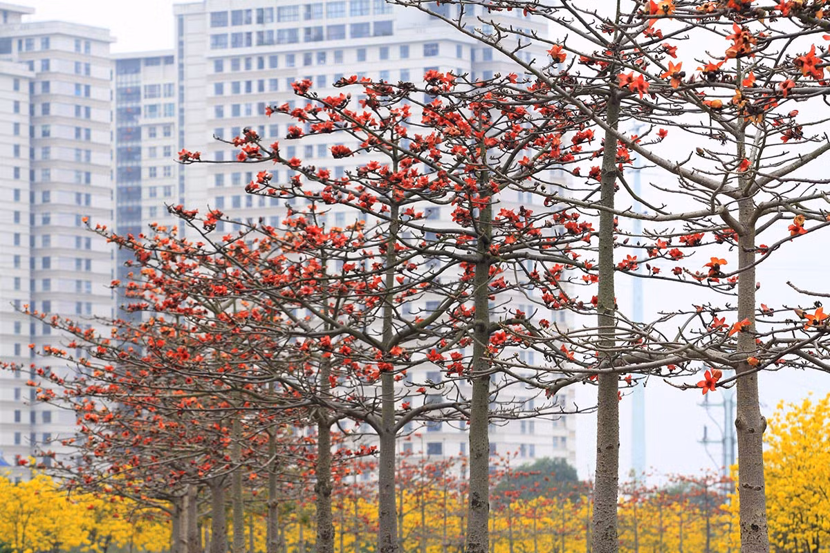 Mới đây, giới trẻ Hà Thành còn phát hiện ra một địa điểm "check-in" mới.
