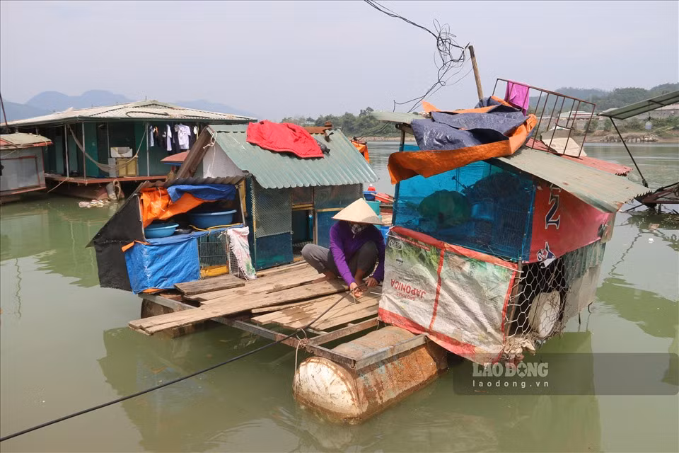 Nhà nào không đủ điều kiện thì làm nhà bè từ thùng phi, chi phí rẻ nhưng chất lượng kém, dễ bị xô đẩy, nhấn chìm khi bão gió. 