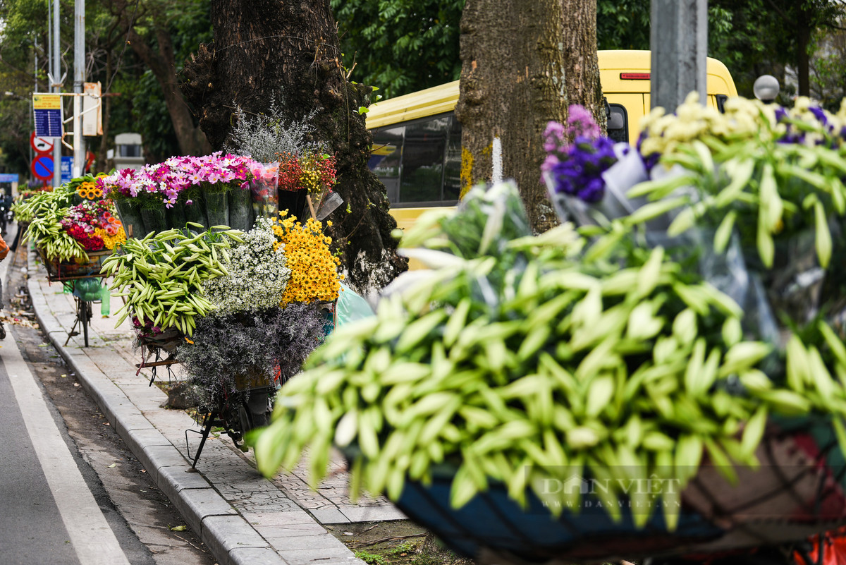 Hàng năm cứ vào cuối tháng 3, đầu tháng 4 khắp các con đường, ngõ phố của Hà Nội lại được tô điểm bởi sắc trắng giản dị của những bông hoa loa kèn.