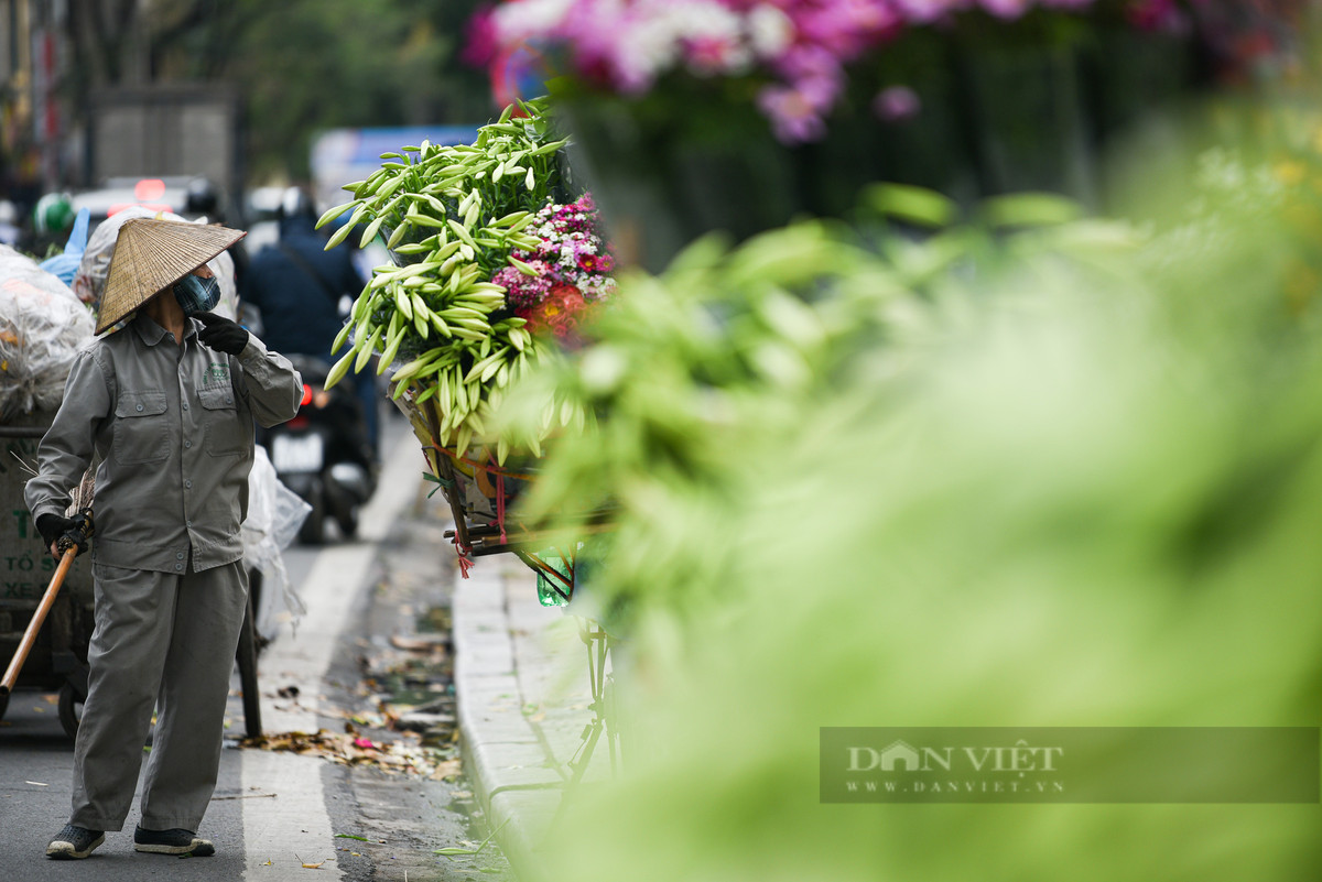 Giữa những con phố nhộn nhịp, đông đúc người và xe, đâu đó du khách sẽ bắt gặp những gánh hoa loa kèn trắng muốt.