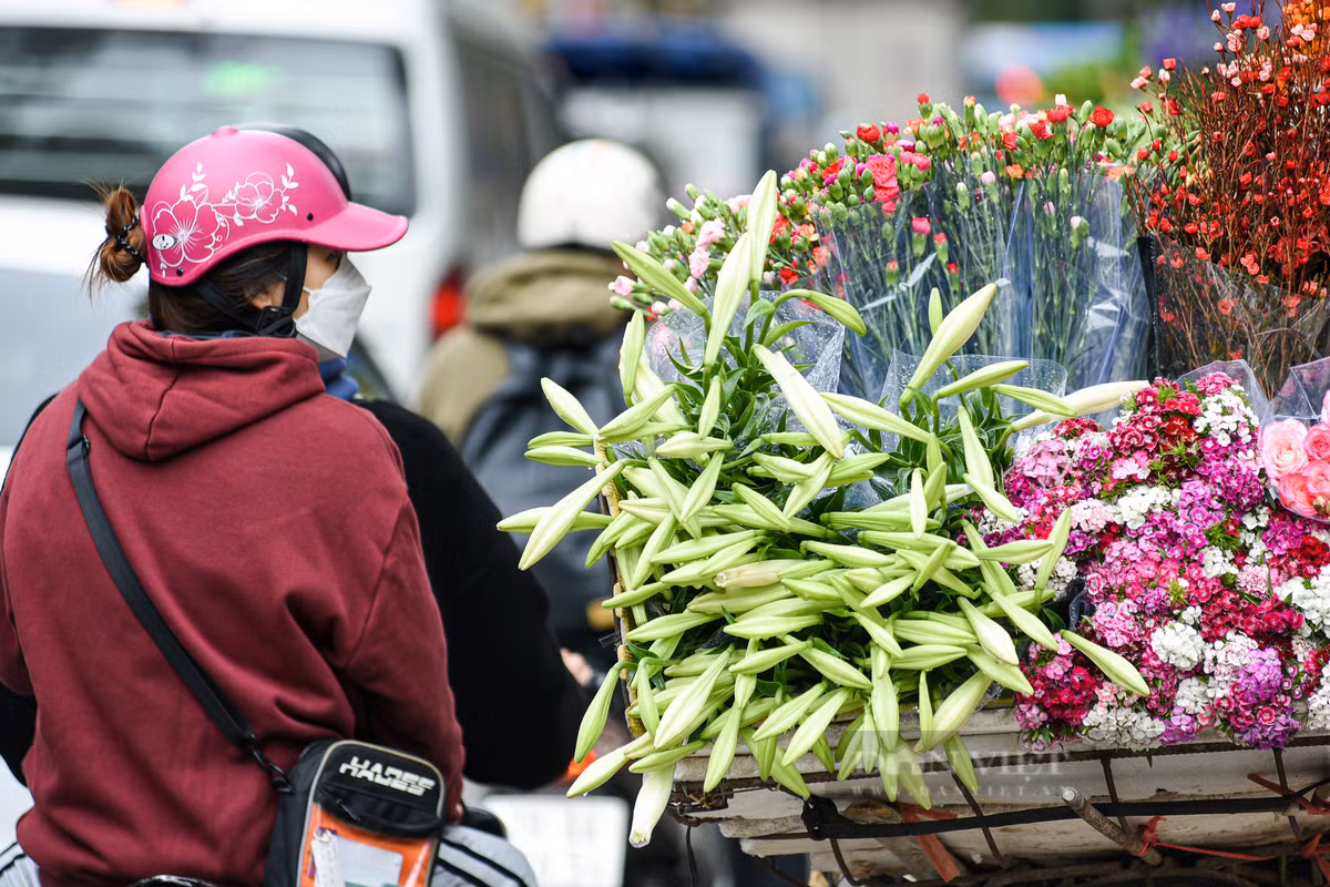 Chạy xe qua các tuyến đường như Thụy Khuê, Phan Đình Phùng, Láng Hạ, Thanh Niên,… khó ai có thể kìm lòng trước vẻ đẹp tinh khôi, mùi hương dịu nhẹ của loa kèn.