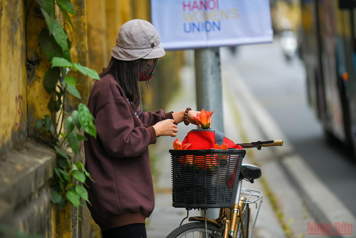 Ha Noi ruc ro mua hoa thang 3-Hinh-14
