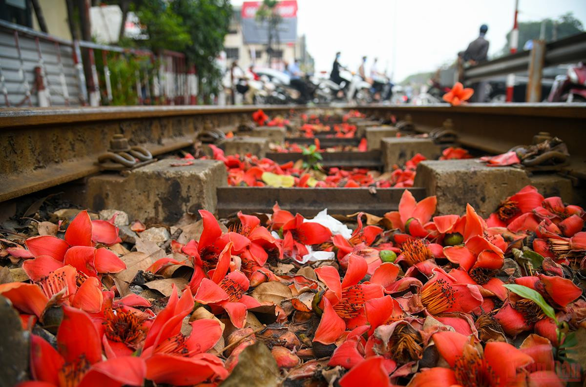 Ha Noi ruc ro mua hoa thang 3-Hinh-18