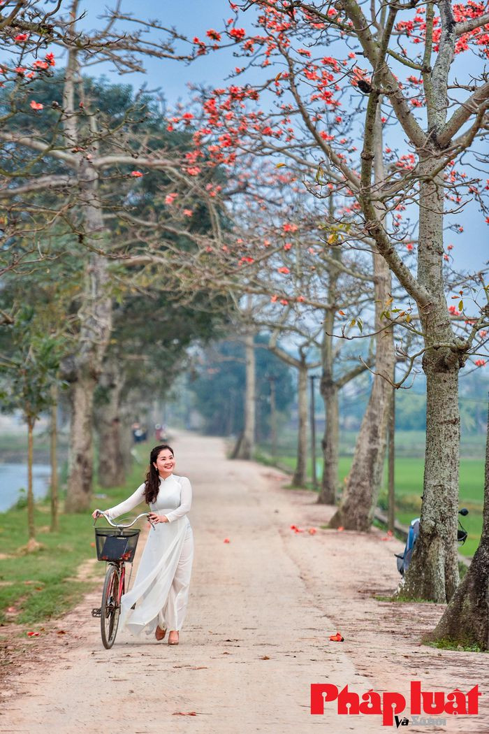 "Bao giờ cho đến tháng 3, hoa gạo rụng xuống bà già cất chăn". Hoa gạo rụng báo hiệu sự chuyển giao của mùa đông lạnh giá để chuyển sang mùa hè.