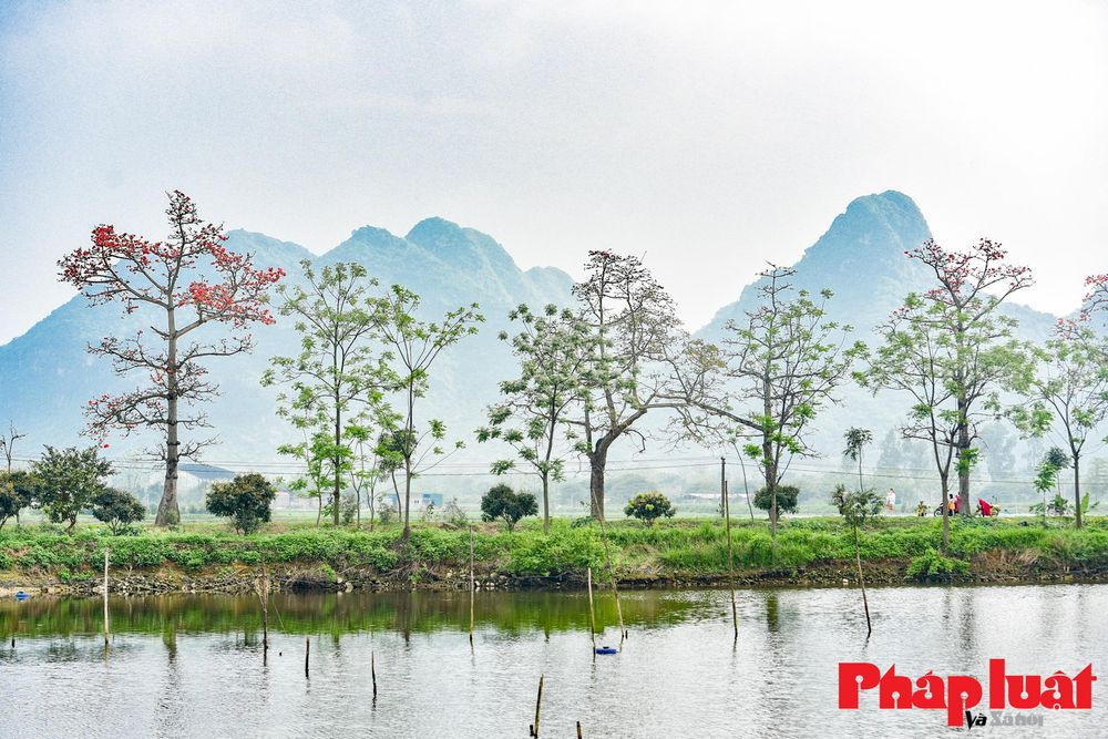 Sự kết hợp những sắc màu của mùa xuân trong không gian làng quê giữa mùa hoa gạo tạo vẻ nên vẻ đẹp bình yên.