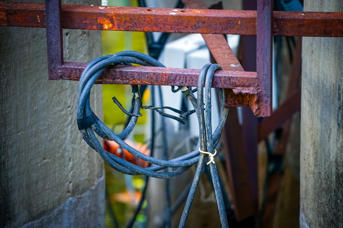 Ho Con Rua TPHCM truoc ngay 'thay ao moi'-Hinh-7