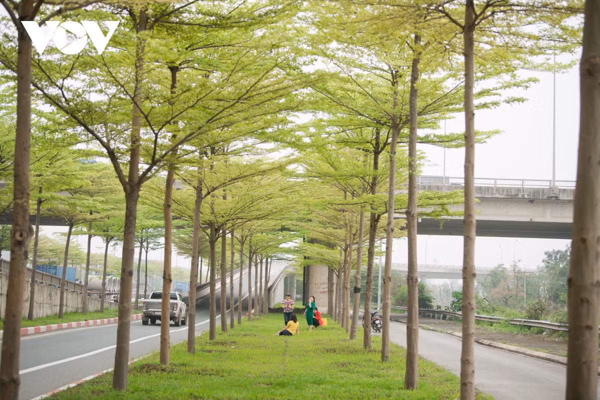 Chính vì được chia sẻ rộng rãi trên mạng xã hội nên nhiều người dân đã đến đây để chụp ảnh "check-in".